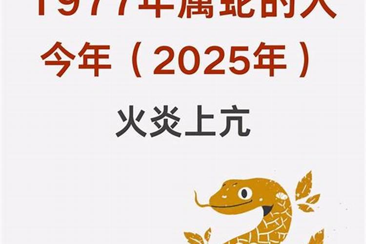 2019烟台清明扫墓公交专线
