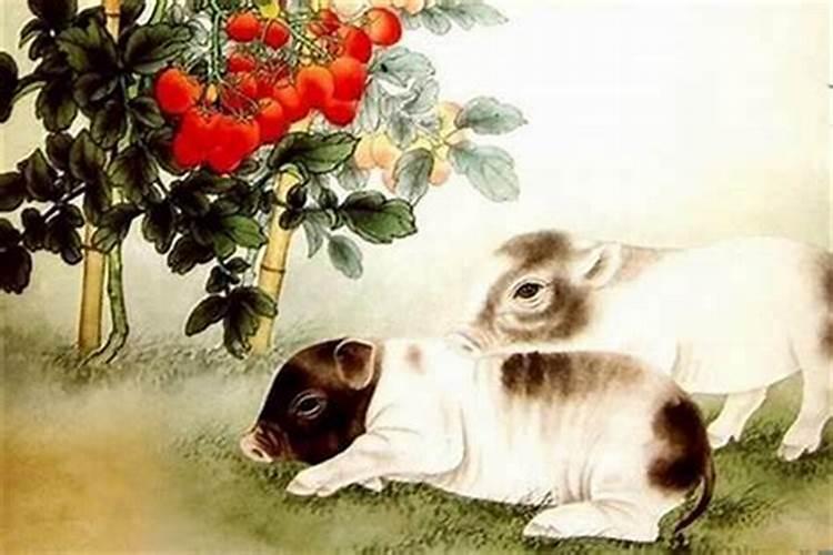 猴遇鼠为什么有福气男92猴女96鼠八字合吗