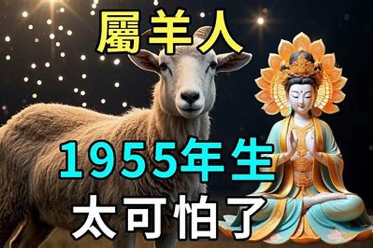 1955年9月初六出生,男,请问命运、事业及2011年运势如何,敬请大师详细...