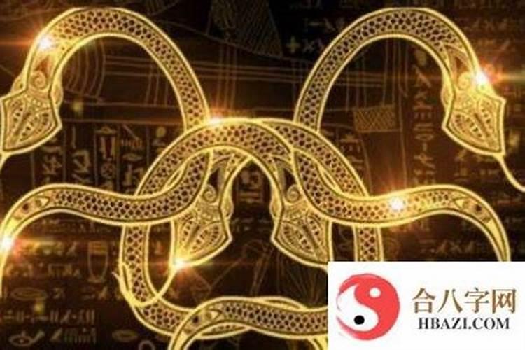 双蛇与双牛属相婚配如何,属相婚配是如何做的呢？