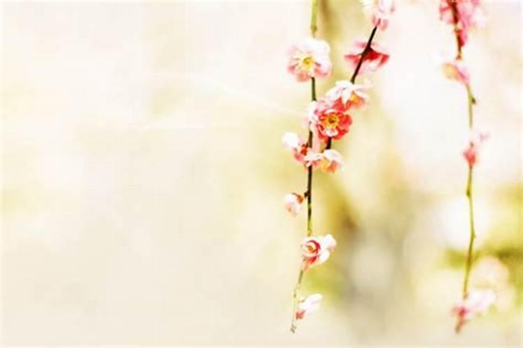 财神爷叫什么名字