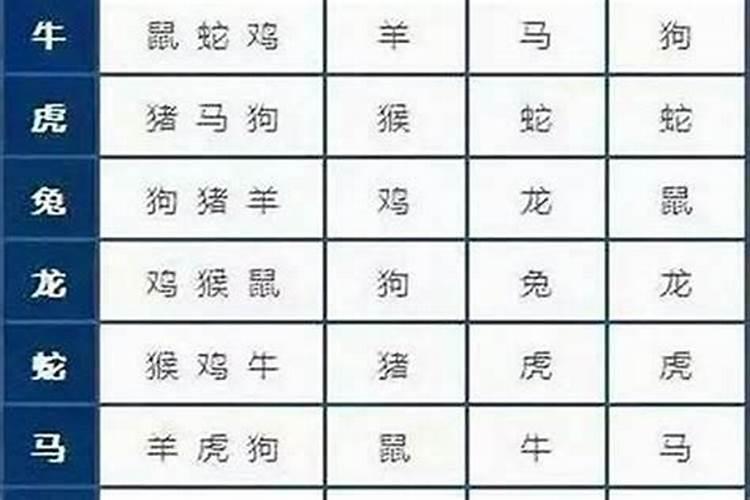 属鼠的女性和属猪的男性婚姻状况如何