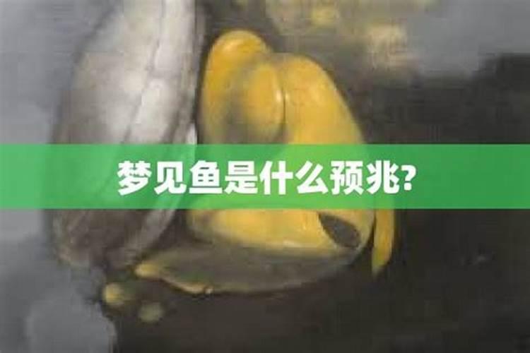 我以前有套房子现在离婚了,梦见被前夫给卖了、里面的家具和床都换...