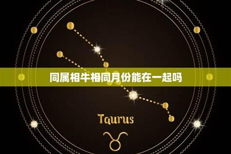 同样的属相在一起好不好