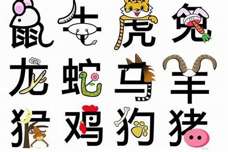 最相合的属相,属和什么属相最配