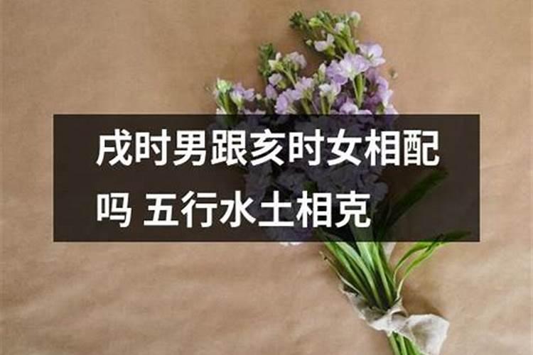 家乡清明节的风俗