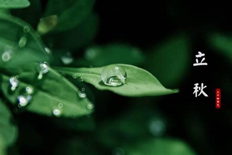 梦见下大雨河里涨满了水