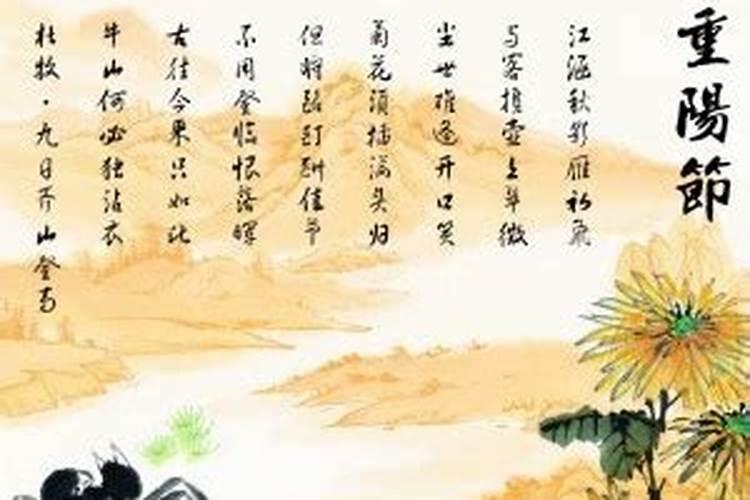 女鼠男马能过一辈子吗 二者婚配好吗