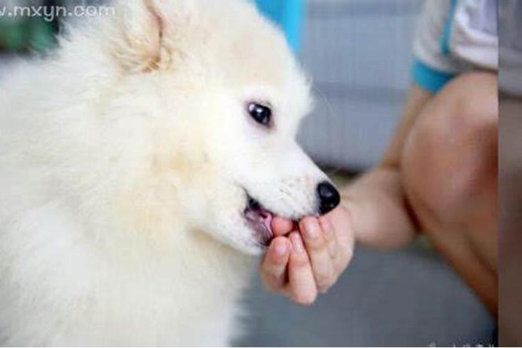 冬至是什么意思啊