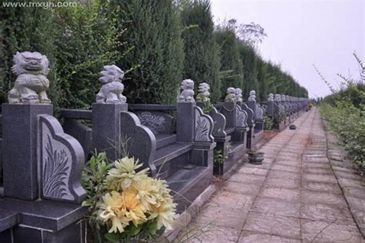 梦见经过一片坟地的预兆