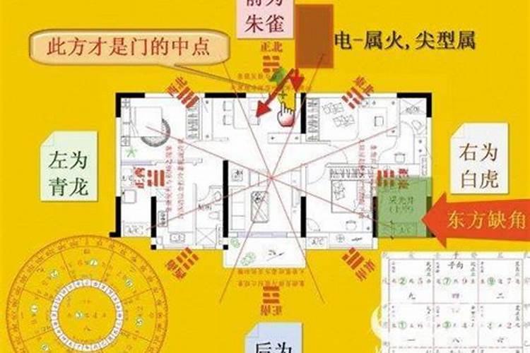 双虎口运是什么运势啊!