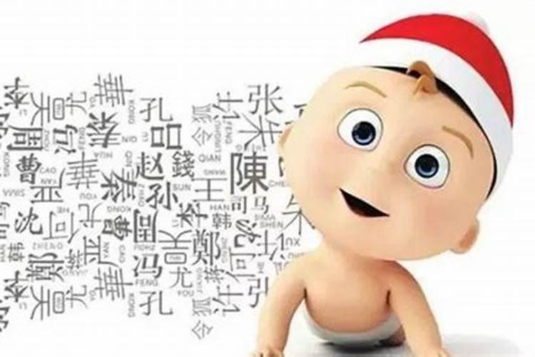 1987年的兔在2025年的运势怎么样