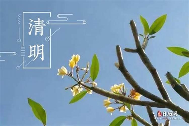 2024年4月3日可以上坟扫墓吗
