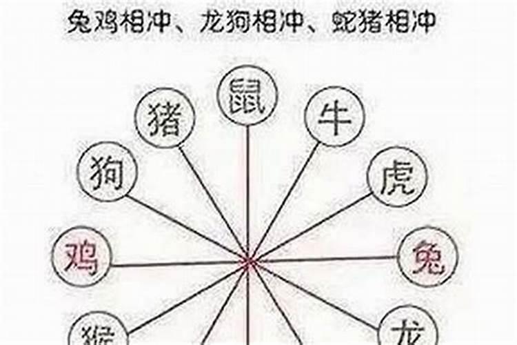 本命年指的是生日所在的这一整年还是24周岁生日开始后的一年？