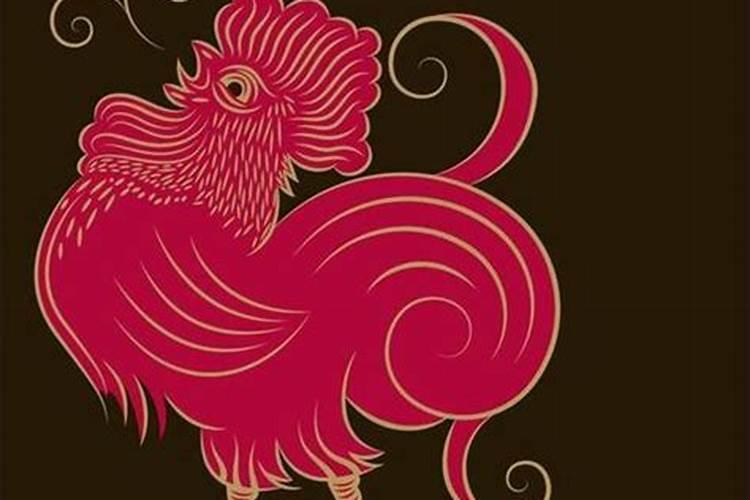 梦见我牵着一匹白马的预兆