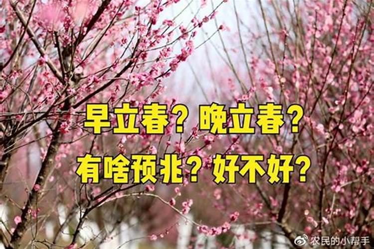 周公解梦梦见被乌龟追