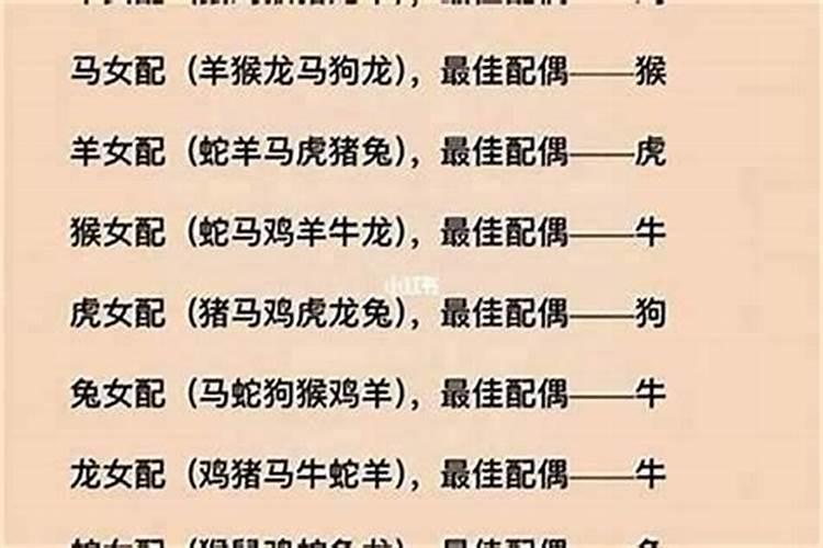 蛇鼠相配的婚姻好吗