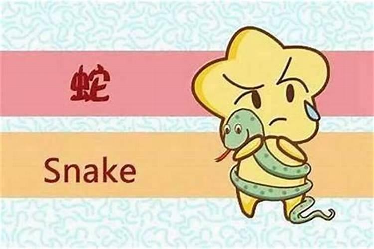 鼠蛇属相婚配好不好