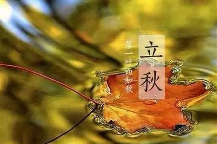 小人指什么生肖