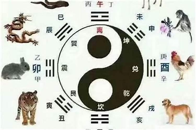 梦见我80多岁体弱的奶奶突然年轻了,身体强壮？