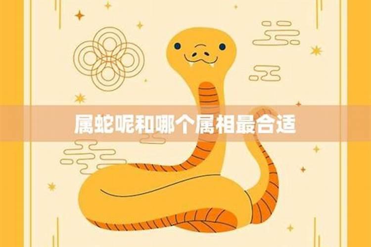 91年属羊男最佳婚配表