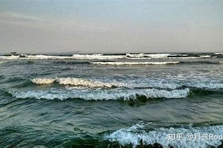 83年属猪2024夫妻感情走势