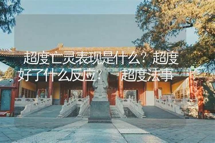 梦见梦里看到翻车的预兆