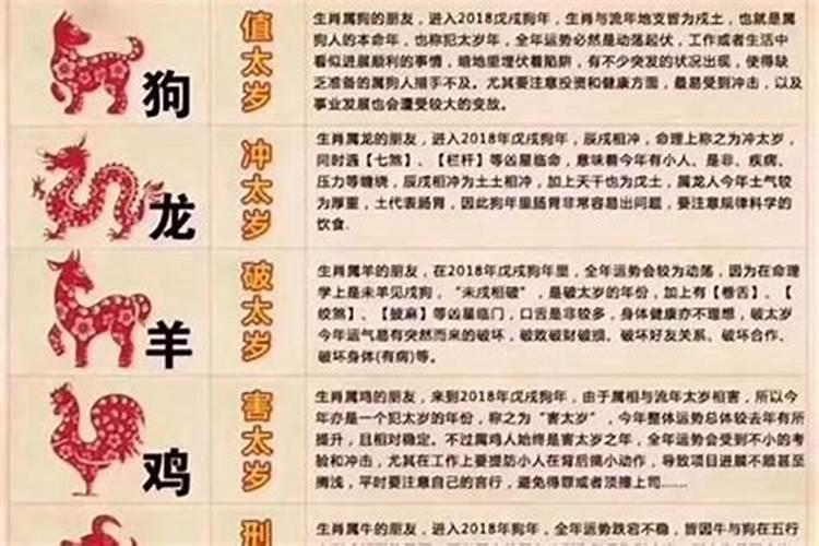 2025年犯太岁的五大生肖有哪些