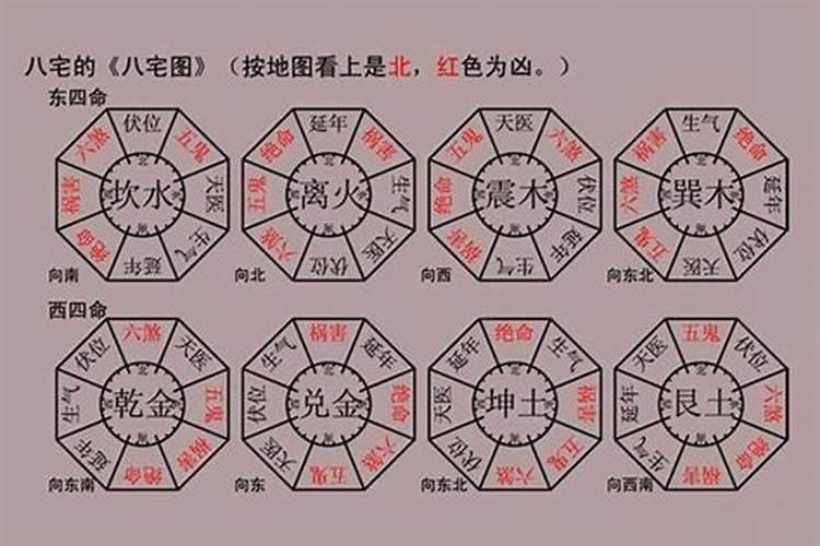 2025年属猪的全年运势