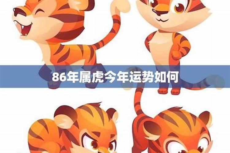 济南坐船攻略,济南汽车旅游路线攻略