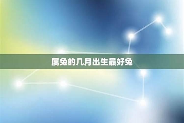 94年狗和96年鼠相配吗 狗和鸡婚配合不合