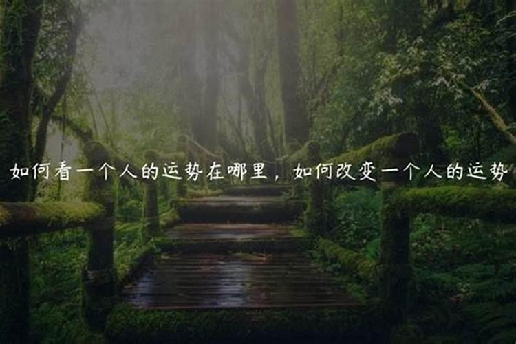 段建业盲派命理高级班教程