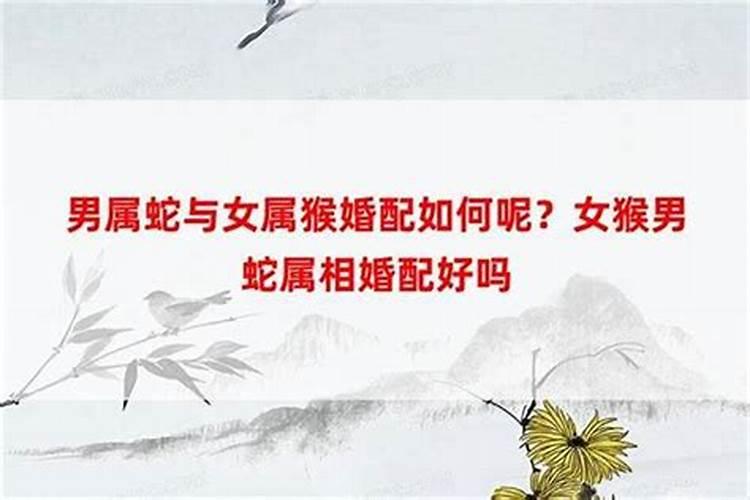 蛇和猴为什么相克又相合女蛇男猴是断头婚吗