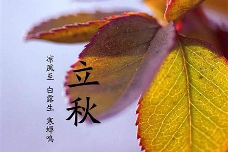 中元节为啥要吃馄饨 中元节吃馄饨的原因