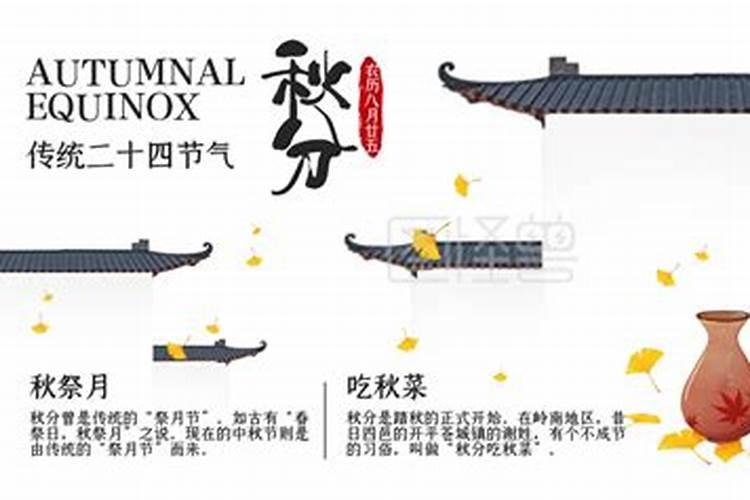 属鼠本命年不宜做什么