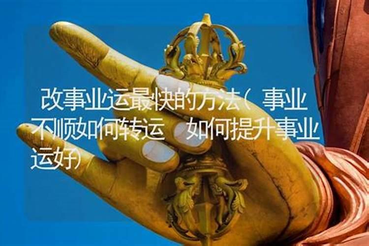 如何利用风水催旺事业运 办公室采光很重要？