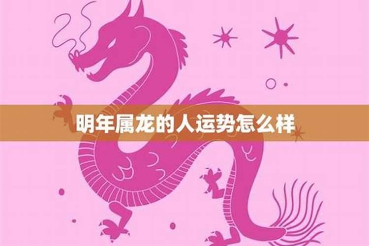 87年兔哪年才开始转运 属兔的贵人是什么属相