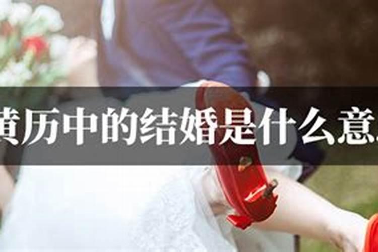 2025生肖羊的运势大全