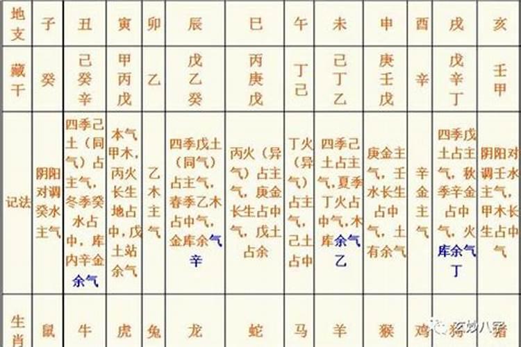 八字中的藏干能和天干相合相克么,看八字时两者要注意点什么