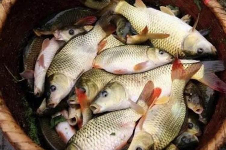 婚姻不好佩戴什么化解 家里摆什么可提升姻缘？