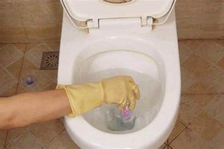 兔不能和什么生肖一起