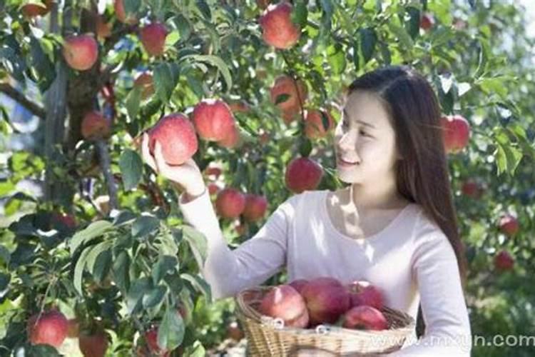 太岁符放家里什么位置