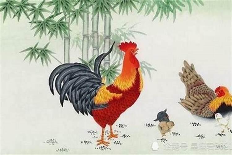 1969年属鸡女晚年命运 命中带财正财运很好？