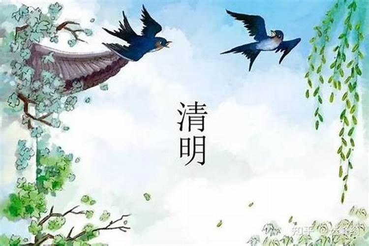 79年农历八月的羊命运 几月的羊最苦命
