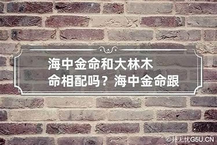 属鸡的和什么属相最配、相克与鸡相冲相克的属相