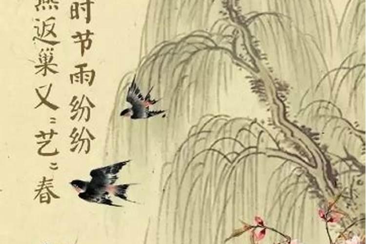 八五年农历三月十三是什么星座