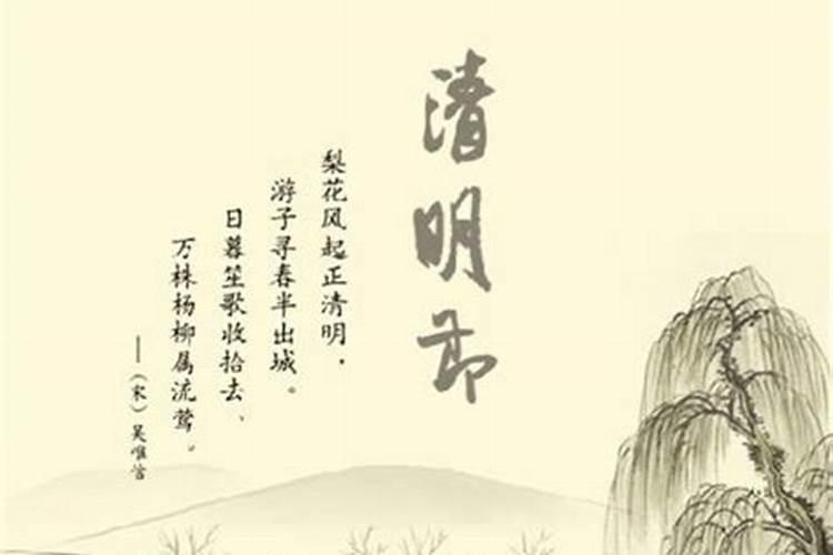我是1985年农历三月十三下午出生的,我应该是什么星座？