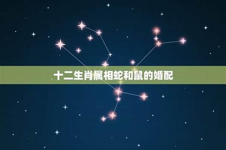 八字算命怎么学