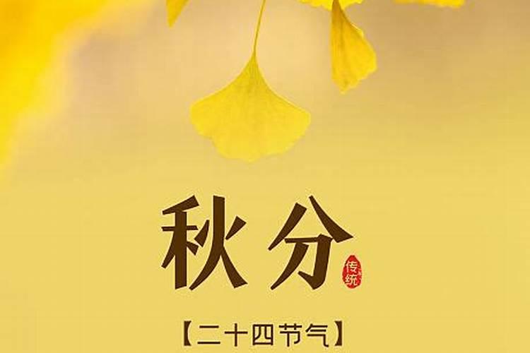 属鼠打牌最忌三个日子