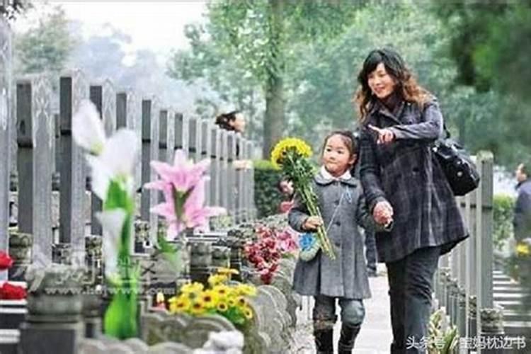 秋土豆什么时间种植